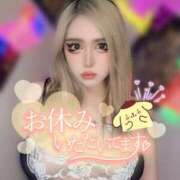 ヒメ日記 2025/06/30 15:04 投稿 コウ ティンカーベル