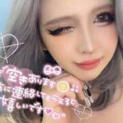 ヒメ日記 2025/07/14 10:28 投稿 コウ ティンカーベル