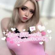 ヒメ日記 2025/08/06 20:09 投稿 コウ ティンカーベル