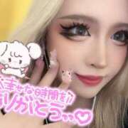 ヒメ日記 2025/08/12 18:34 投稿 コウ ティンカーベル