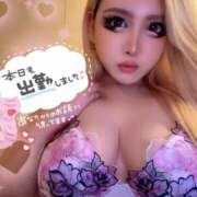 ヒメ日記 2025/09/09 12:11 投稿 コウ ティンカーベル