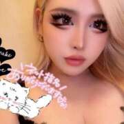 ヒメ日記 2025/09/23 14:25 投稿 コウ ティンカーベル