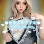 ヒメ日記 2025/10/30 15:39 投稿 コウ ティンカーベル