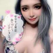 ヒメ日記 2025/11/06 21:15 投稿 コウ ティンカーベル