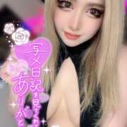 ヒメ日記 2025/11/25 21:02 投稿 コウ ティンカーベル