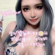 ヒメ日記 2025/12/07 10:24 投稿 コウ ティンカーベル