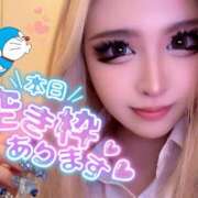 ヒメ日記 2025/12/25 10:31 投稿 コウ ティンカーベル