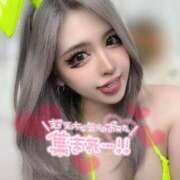 ヒメ日記 2026/02/09 08:15 投稿 コウ ティンカーベル