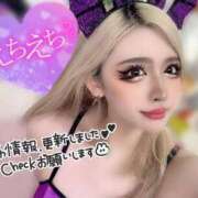 ヒメ日記 2026/02/21 08:33 投稿 コウ ティンカーベル