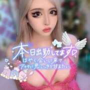 ヒメ日記 2026/04/14 17:22 投稿 コウ ティンカーベル