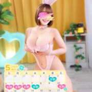 ヒメ日記 2025/05/01 21:42 投稿 ラム ティンカーベル