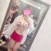 ヒメ日記 2025/07/14 19:05 投稿 ラム ティンカーベル