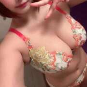 ヒメ日記 2025/10/11 13:07 投稿 ラム ティンカーベル