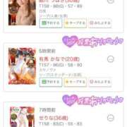 ヒメ日記 2025/11/19 09:00 投稿 ラム ティンカーベル