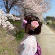 ヒメ日記 2025/12/15 18:21 投稿 ラム ティンカーベル