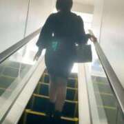 ヒメ日記 2026/01/07 17:38 投稿 ラム ティンカーベル