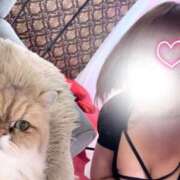 ヒメ日記 2026/02/09 20:21 投稿 ラム ティンカーベル