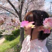 ヒメ日記 2026/03/03 12:24 投稿 ラム ティンカーベル