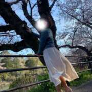 ヒメ日記 2026/03/11 20:59 投稿 ラム ティンカーベル