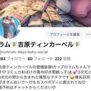 ヒメ日記 2026/03/24 18:31 投稿 ラム ティンカーベル