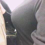 ヒメ日記 2026/04/02 21:17 投稿 ラム ティンカーベル