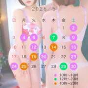 ヒメ日記 2026/05/21 20:06 投稿 ラム ティンカーベル