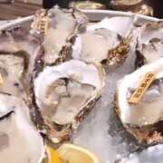 ヒメ日記 2025/12/17 21:00 投稿 リゼ ティンカーベル