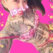 ヒメ日記 2025/04/10 08:01 投稿 れもん ティンカーベル