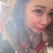 ヒメ日記 2025/05/01 11:03 投稿 れもん ティンカーベル