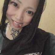 ヒメ日記 2025/06/05 07:58 投稿 れもん ティンカーベル