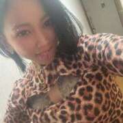 ヒメ日記 2025/07/08 14:29 投稿 れもん ティンカーベル