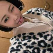 ヒメ日記 2025/10/18 08:34 投稿 れもん ティンカーベル