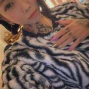 ヒメ日記 2025/10/27 08:20 投稿 れもん ティンカーベル