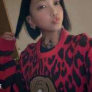 ヒメ日記 2025/11/07 15:01 投稿 れもん ティンカーベル