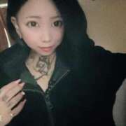 ヒメ日記 2025/11/17 16:08 投稿 れもん ティンカーベル