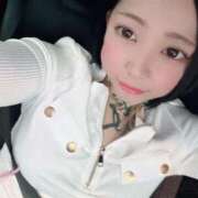 ヒメ日記 2025/11/18 16:06 投稿 れもん ティンカーベル