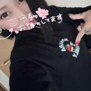 ヒメ日記 2025/12/15 18:03 投稿 れもん ティンカーベル