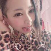 ヒメ日記 2026/02/17 15:30 投稿 れもん ティンカーベル