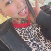 ヒメ日記 2026/02/26 15:14 投稿 れもん ティンカーベル