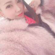 ヒメ日記 2026/03/15 10:39 投稿 れもん ティンカーベル