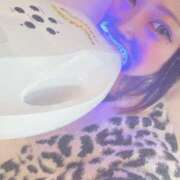 ヒメ日記 2026/04/14 15:44 投稿 れもん ティンカーベル