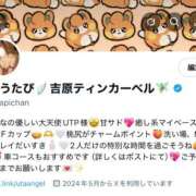 ヒメ日記 2025/07/02 19:59 投稿 月乃うた ティンカーベル