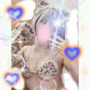 ヒメ日記 2025/04/17 17:30 投稿 ウェンディ ティンカーベル