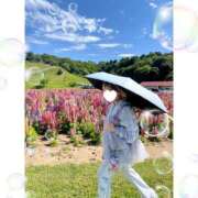 ヒメ日記 2025/05/13 10:43 投稿 ウェンディ ティンカーベル