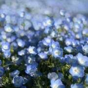 ヒメ日記 2025/05/22 11:27 投稿 ウェンディ ティンカーベル