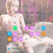 ヒメ日記 2025/12/24 21:45 投稿 ウェンディ ティンカーベル