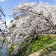 ヒメ日記 2025/04/25 11:12 投稿 北川亜里沙 ティンカーベル