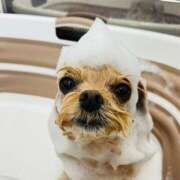 ヒメ日記 2025/06/11 16:40 投稿 北川亜里沙 ティンカーベル