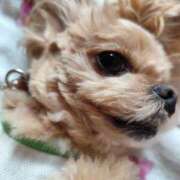 ヒメ日記 2025/06/22 20:20 投稿 北川亜里沙 ティンカーベル