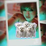 ヒメ日記 2025/11/25 15:46 投稿 北川亜里沙 ティンカーベル